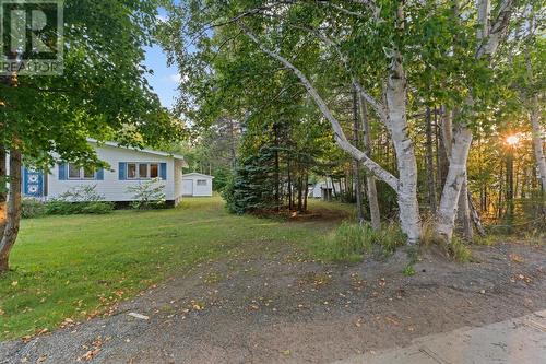 35 Pine Tree Road, Gambo, NL - Outdoor