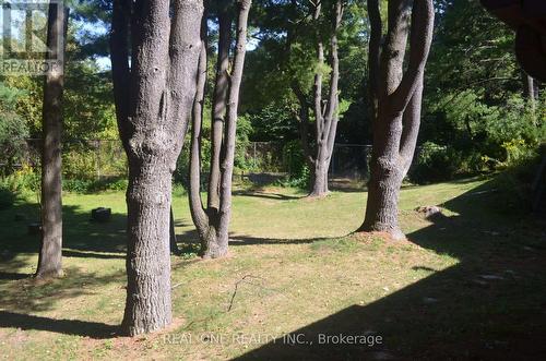 465 Woodland Acres Crescent, Vaughan, ON - Outdoor