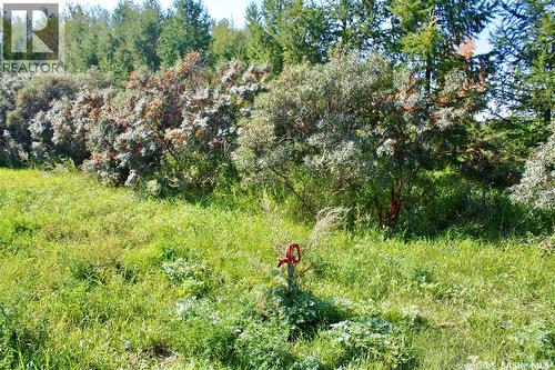 Warkentin Acreage, Blucher Rm No. 343, SK 