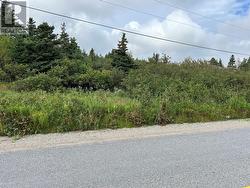 Route 407 Main Route  St Andrews, NL A0N 1W0