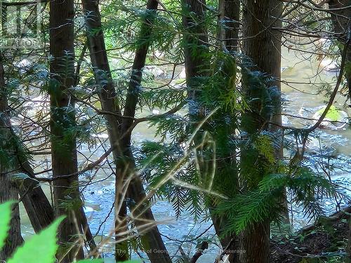 399 Dawson'S Side Road, Tiny, ON - Outdoor