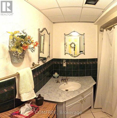 187 Terra Lou Drive, Lakeshore, ON - Indoor Photo Showing Bathroom