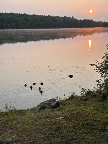 Bord de l'eau - 75 Ch. Hervé-Pigeon, Kipawa, QC - Outdoor With Body Of Water With View