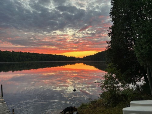 Bord de l'eau - 75 Ch. Hervé-Pigeon, Kipawa, QC - Outdoor With Body Of Water With View