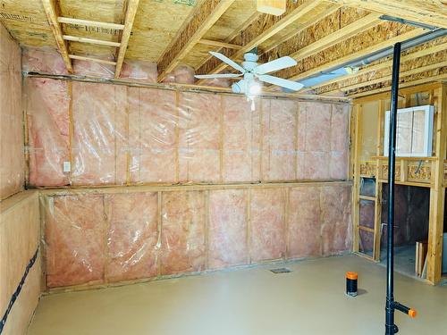 1B Wolf Crescent, Windermere, BC - Indoor Photo Showing Basement