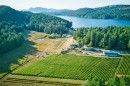 3200 Clam Bay Rd, Pender Island, BC 