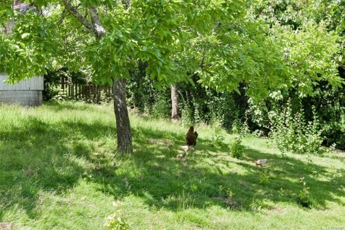 5489 Forest Hill Rd, Saanich, BC 