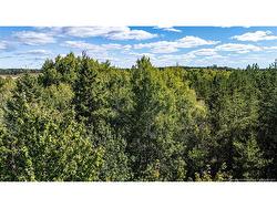 Lot 79-6 De La Traverse  Saint-Paul, NB E4T 3M6