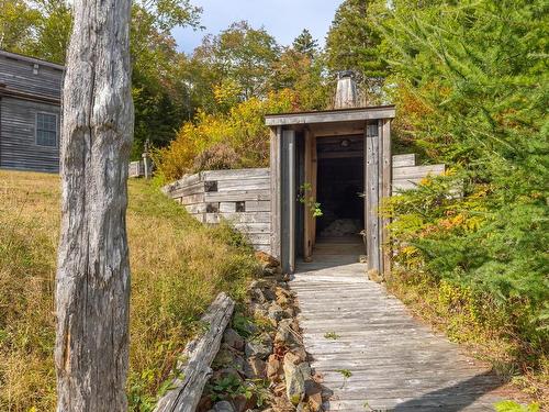 240 Pine Prince Drive, Briar Lake, NS 