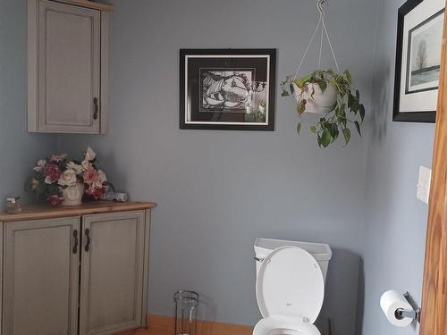 187 Highway 302, Southampton, NS 