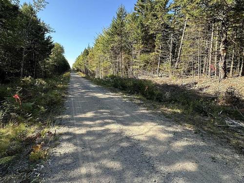 Highway 101, Grosses Coques, NS 