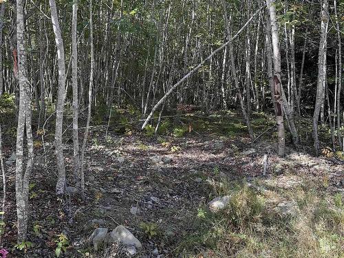 Highway 101, Grosses Coques, NS 