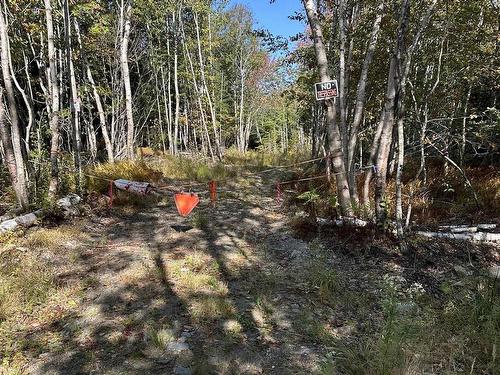 Highway 101, Grosses Coques, NS 