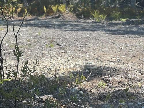 Highway 101, Grosses Coques, NS 