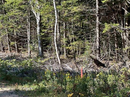 Highway 101, Grosses Coques, NS 