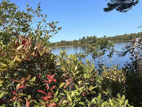 Highway 101, Grosses Coques, NS 