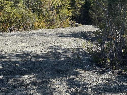 Highway 101, Grosses Coques, NS 