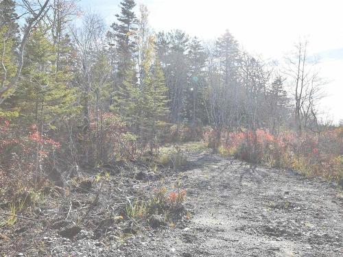 Highway 101, Grosses Coques, NS 