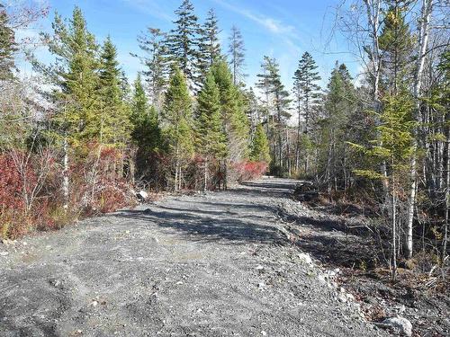 Highway 101, Grosses Coques, NS 