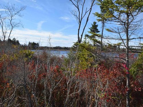Highway 101, Grosses Coques, NS 