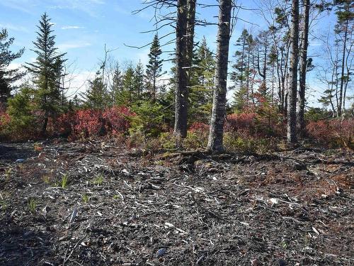 Highway 101, Grosses Coques, NS 