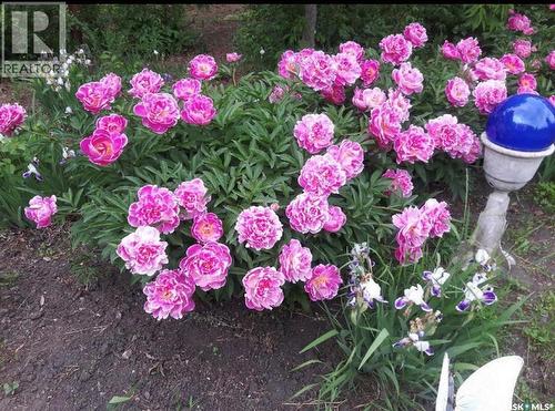 Dubuc 100 Acres Farm, Grayson Rm No. 184, SK 