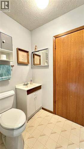 433 Garfield Street, Davidson, SK - Indoor Photo Showing Bathroom