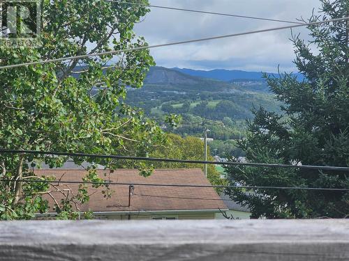 52 Atlantic Avenue, Corner Brook, NL - Outdoor With View