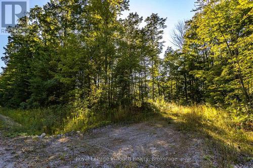 Lt 16&17 Nippissing Ridge Road, Tiny, ON 