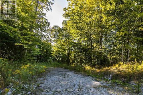 Lt 16&17 Nippissing Ridge Road, Tiny, ON 