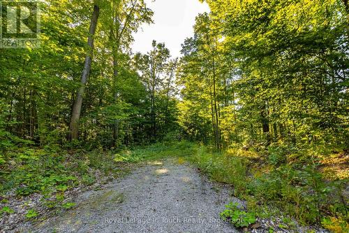 Lt 16&17 Nippissing Ridge Road, Tiny, ON 