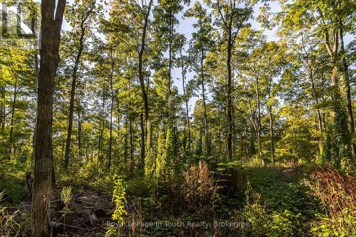Lt 16&17 Nippissing Ridge Road, Tiny, ON 
