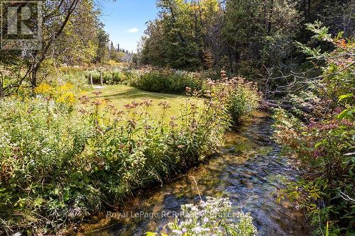 282848 Normanby-Bentinck Townline, West Grey, ON - Outdoor
