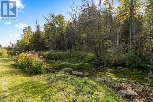282848 Normanby-Bentinck Townline, West Grey, ON - Outdoor With View