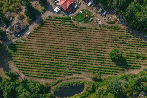 2300 East Wellington Rd, Nanaimo, BC 