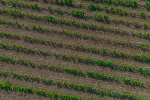 2300 East Wellington Rd, Nanaimo, BC 