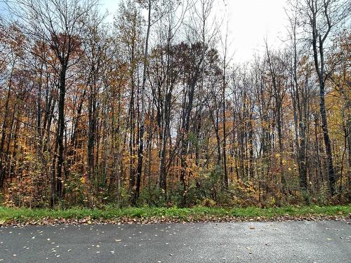 Façade - Rue Pascal, Sainte-Sophie, QC 