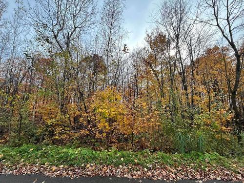 Façade - Rue Pascal, Sainte-Sophie, QC 