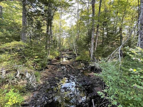 69 Mackay Road, Union Square, NS 