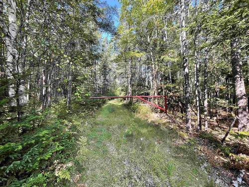 69 Mackay Road, Union Square, NS 