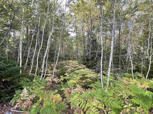 69 Mackay Road, Union Square, NS 