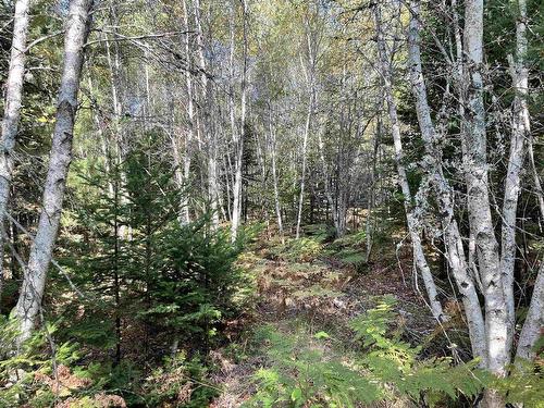 69 Mackay Road, Union Square, NS 