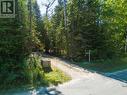 Mature Trees Featuring A Fully Private Lot - 112 Cameron Street, Blue Mountains, ON  - Outdoor 
