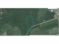 Lot Saint-Augustine RD  Beersville, NB E4T 2N8