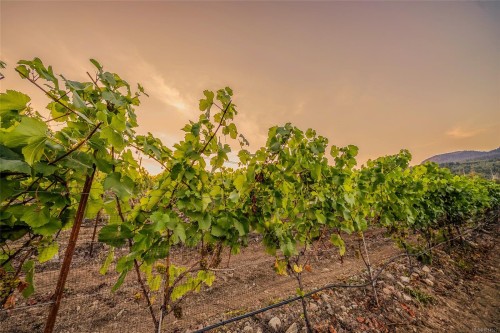 Sl1 North Rd, Duncan, BC 