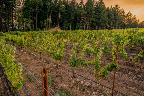 Sl1 North Rd, Duncan, BC 