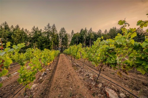 Sl1 North Rd, Duncan, BC 