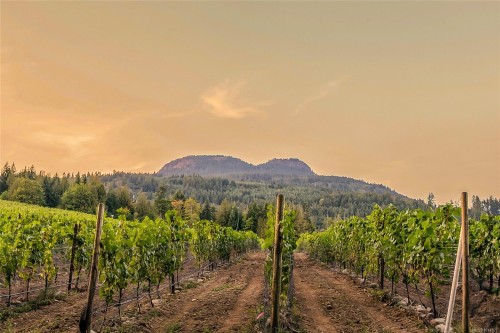 Sl1 North Rd, Duncan, BC 