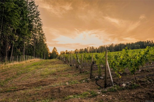 Sl1 North Rd, Duncan, BC 