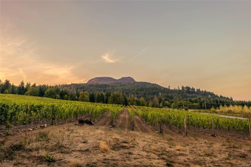 Sl1 North Rd, Duncan, BC 